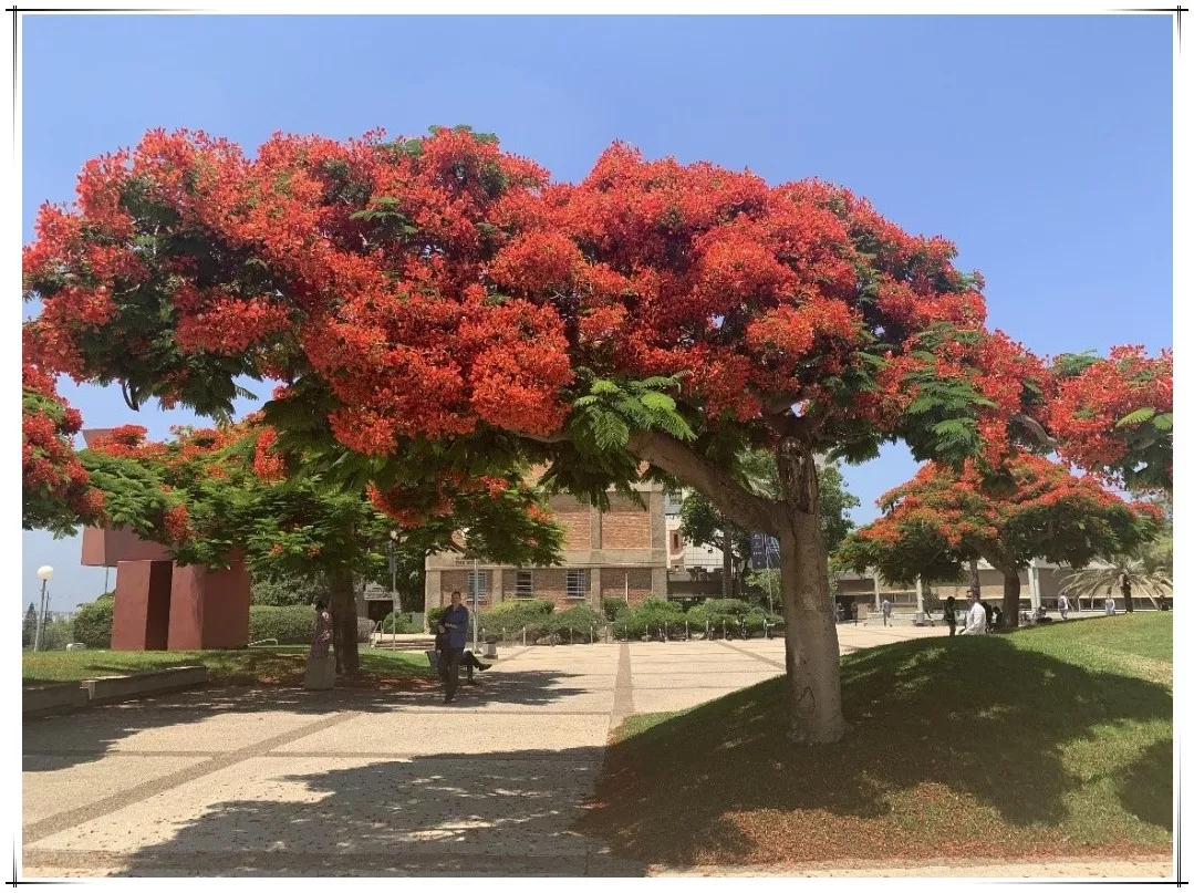 3044am永利集团3044noc(中国游)官方网站