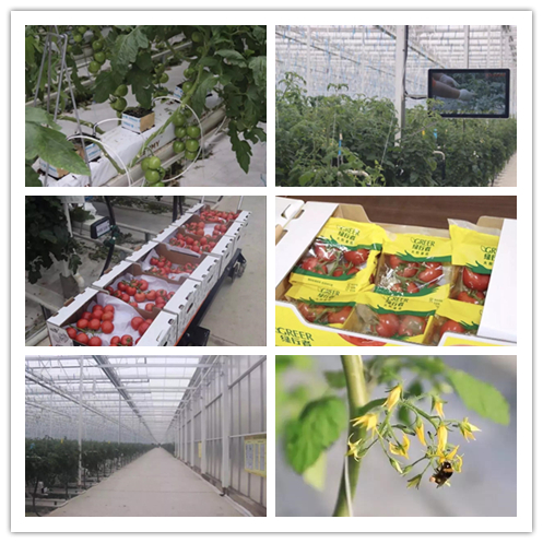 3044am永利集团3044noc(中国游)官方网站